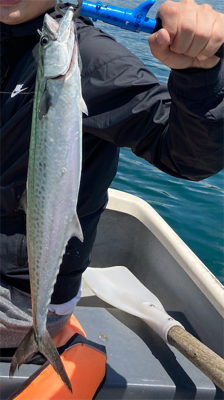 敦賀湾小舟釣り