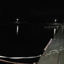 初場所にてメバリング