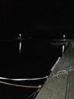 初場所にてメバリング