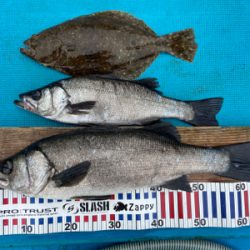 磯撃ちデビュー