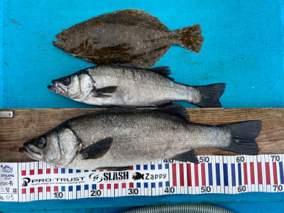 磯撃ちデビュー