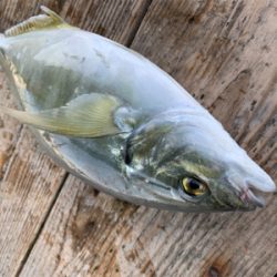 ポート田尻にて