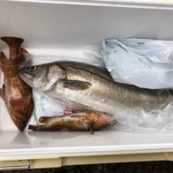 沖磯 ショアジギング♪GUNNING-STYLE