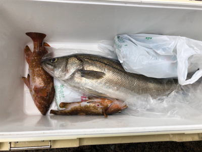 沖磯 ショアジギング♪GUNNING-STYLE