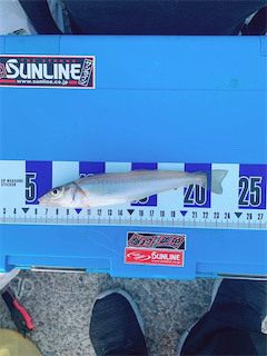 ちょい投げです。