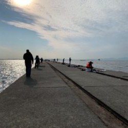 シーズン初でかサワラ