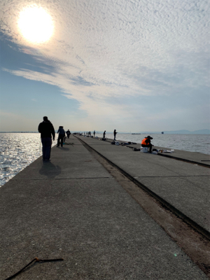 シーズン初でかサワラ