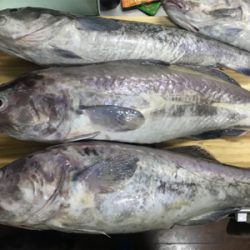 中深海ジギング