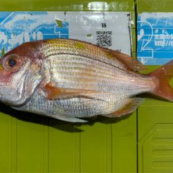 京都府北部に弟とボート釣行