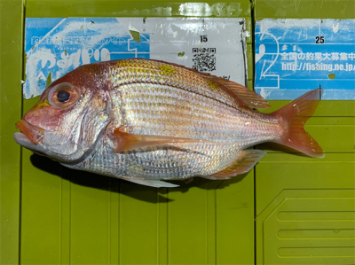 京都府北部に弟とボート釣行