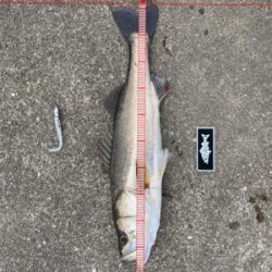 朝は魚釣り園、夕方から川