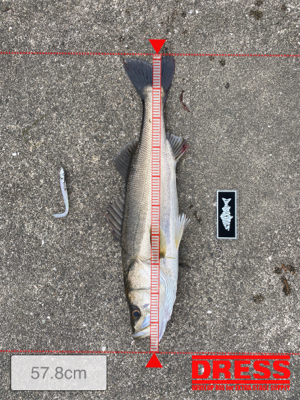 朝は魚釣り園、夕方から川