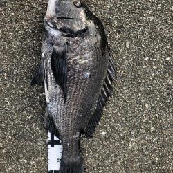 イチノ兄弟、釣果!