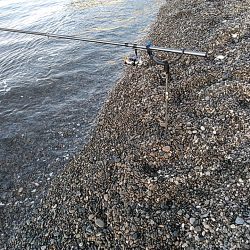 春は、大型が狙えますね！！