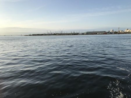 二匹目のドジョウならず