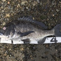 イチノ兄弟、釣果！