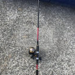 せっかくのタモが…。