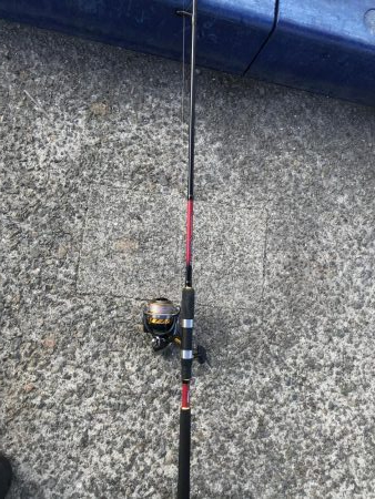 せっかくのタモが…。