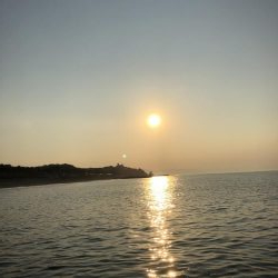 サーフフィッシングの釣果