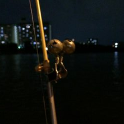 淀川のウナギ釣りパート6