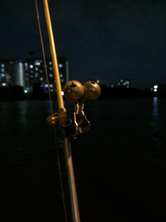 淀川のウナギ釣りパート6