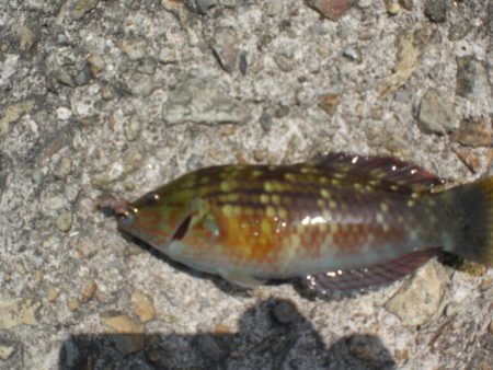 久しぶりの市役所裏