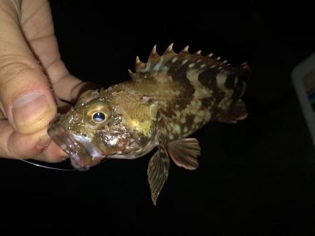 ガシライトゲーム