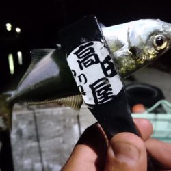 久しぶりの淡路島