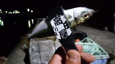 久しぶりの淡路島