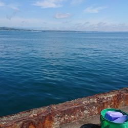 ガッシーは元気です