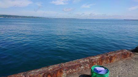 ガッシーは元気です