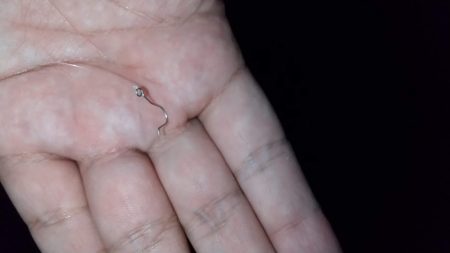 メバリング　ブルーバック良型揃い