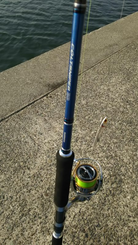 青物調査　ミニツバスゲット