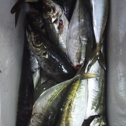 大剣とギガアジ