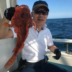 高級魚喰い喰い❗️ 鯛ラバ船 駿河湾大宝丸