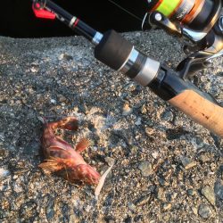 久々で楽しいっす！