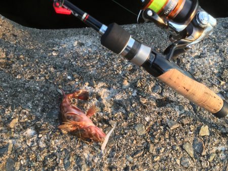 久々で楽しいっす！