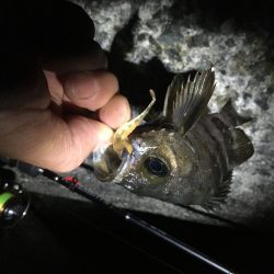 粘り強くやりました！