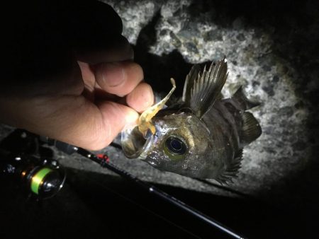 粘り強くやりました！