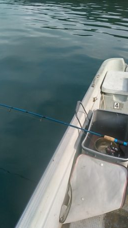 船サビキ釣りでアジ狙い