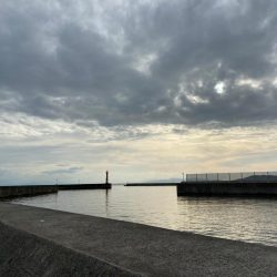 エビでコブダイ