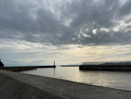 エビでコブダイ