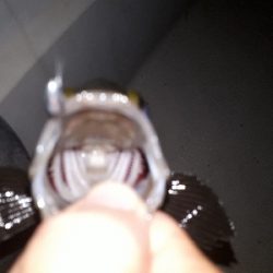 オフショアライトフィッシング