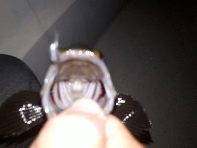 オフショアライトフィッシング