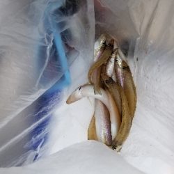 自粛中につき県内です