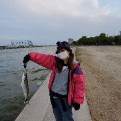 自粛明けブリームゲーム