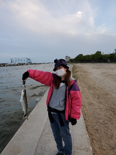 自粛明けブリームゲーム