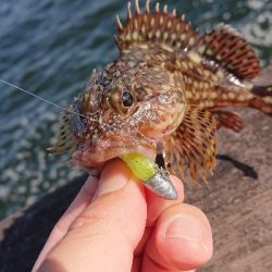 南港ガシリング