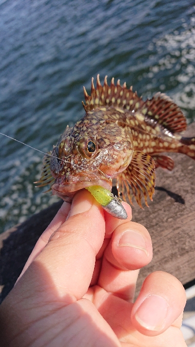 南港ガシリング