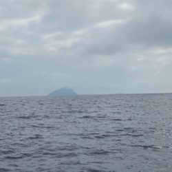 ジギング&LJで高級魚五目達成！